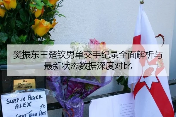 樊振东王楚钦男单交手纪录全面解析与最新状态数据深度对比