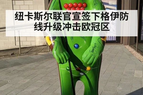 纽卡斯尔联官宣签下格伊防线升级冲击欧冠区