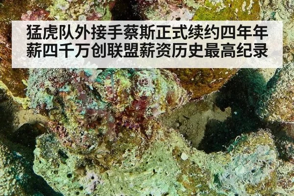 猛虎队外接手蔡斯正式续约四年年薪四千万创联盟薪资历史最高纪录